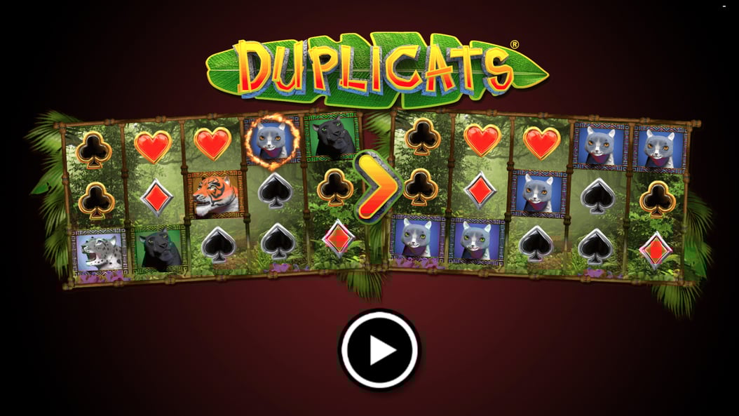 Duplicats Realistic Gaming